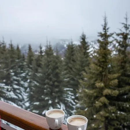 Apartment Suncani Breg & 14